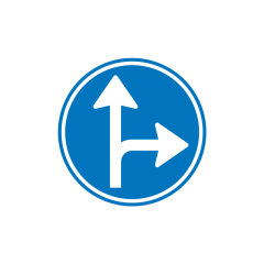 Verkeersbord a/r3/dor Ø 60 cm model: D06R