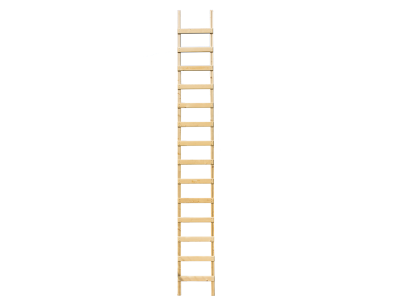 Bouwladder hout 3,9 m 14 sporten met staalstrip