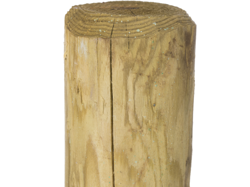 Perkoenpaal hout geimpregneerd 160 cm Ø 8 cm