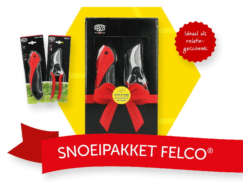 Actie snoeischaar Felco 2 rechts met snoeizaag Felco 600
