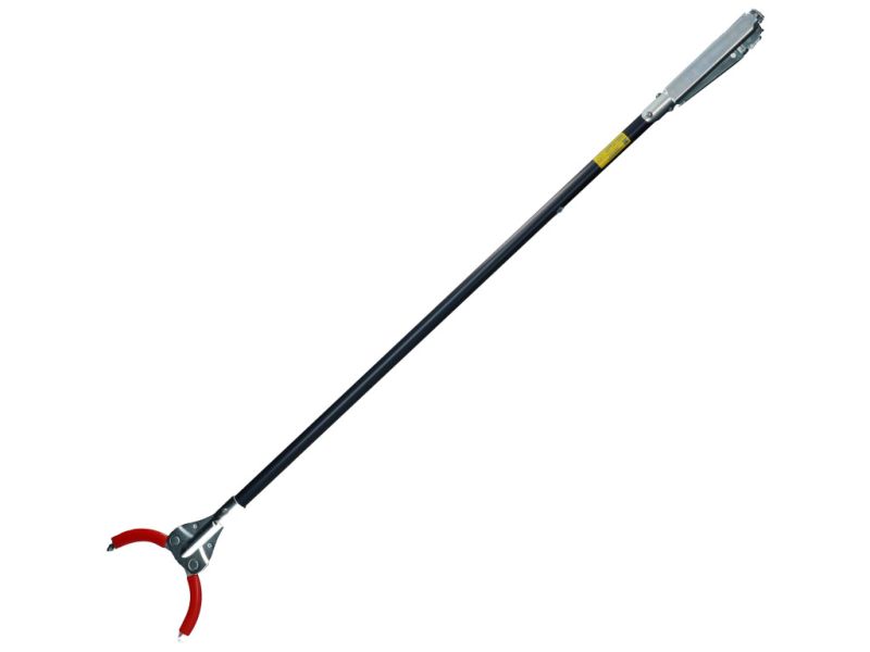 Grijpboy rood bek