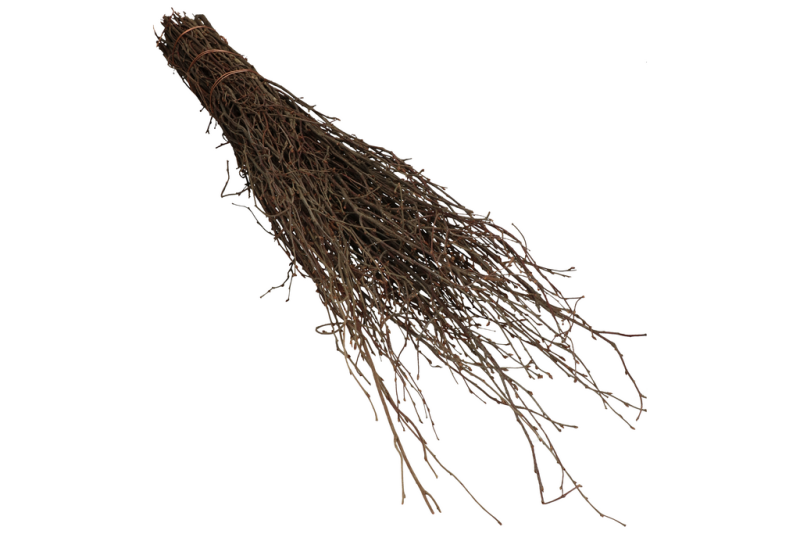 Bezem van berkentakken zonder steel